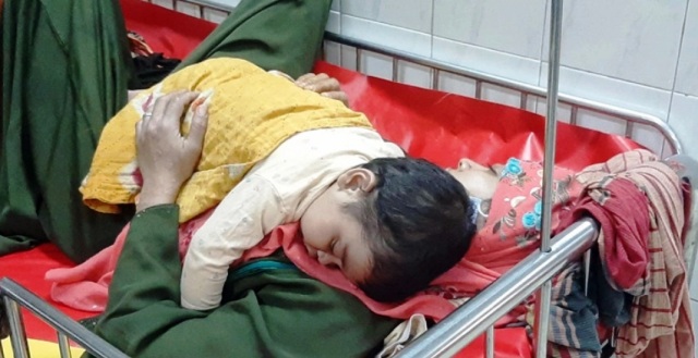 ফাইল ছবি