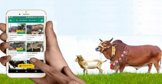 ডিজিটাল হাটে ৭৩০ কোটি টাকার পশু বিক্রি ডিজিটাল হাটে ৭৩০ কোটি টাকার পশু বিক্রি