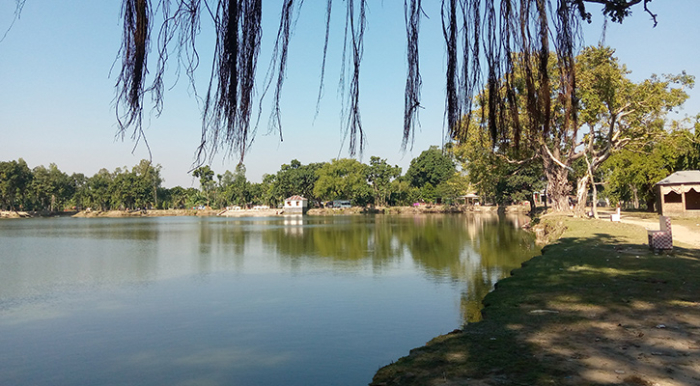 সংগৃহীত ছবি