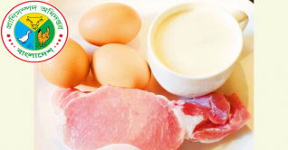 রমজানে রাজধানীতে কম দামে মিলবে দুধ-ডিম-মাংস