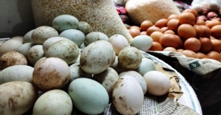 এক হালি হাঁসের ডিম ৬৪ টাকা
