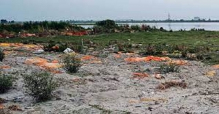 গঙ্গার তীরে হাজার হাজার দেহ, ভয়ঙ্কর ছবি উত্তরপ্রদেশজুড়ে গঙ্গার তীরে হাজার হাজার দেহ, ভয়ঙ্কর ছবি উত্তরপ্রদেশজুড়ে