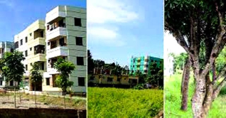 পাবনায় গ্রামের ভেতর যেন এক টুকরো শহর!