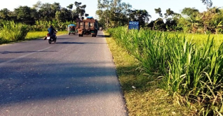 সড়কের পাশে সবজি চাষ