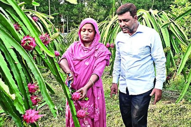 সংগৃহীত ছবি