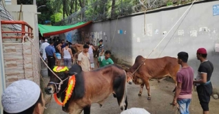 ঈদের নামাজ শেষে পশু কোরবানিতে ব্যস্ত নগরবাসী ঈদের নামাজ শেষে পশু কোরবানিতে ব্যস্ত নগরবাসী
