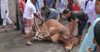ঈদুল আজহার দ্বিতীয় দিনেও চলছে পশু কোরবানি