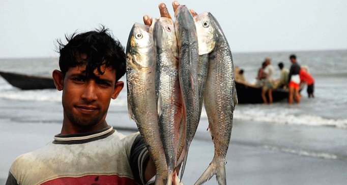 ফাইল ছবি