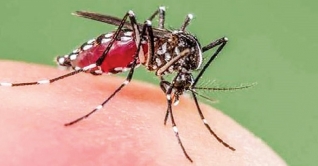 ডেঙ্গুজ্বরে আরও একজন স্কুলছাত্রীর মৃত্যু