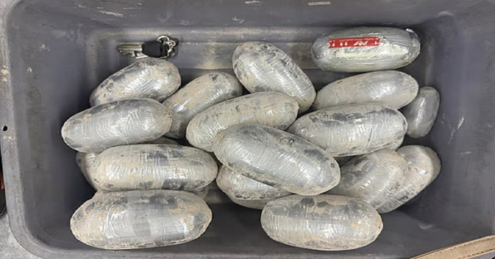 ছবি: সংগ্রহিত।