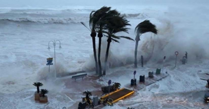 ছবি: ইন্টারনেট