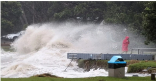 ঘূর্ণিঝড়ের কবলে নিউজিল্যান্ড, জরুরি অবস্থা জারি