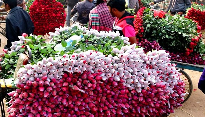 ফাইল ছবি