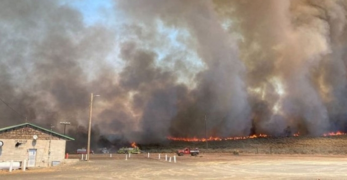 ছবি: ইন্টারনেট