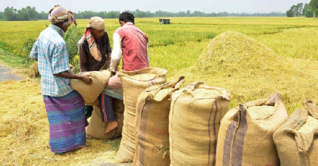 বাংলাদেশে খাদ্য ঘাটতি নেই : বিশ্বব্যাংক বাংলাদেশে খাদ্য ঘাটতি নেই : বিশ্বব্যাংক