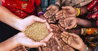 ইউক্রেন যুদ্ধ: বিশ্বজুড়ে খাদ্য সংকটে মানবিক বিপর্যয়ের শঙ্কা