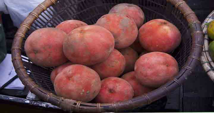 সংগৃহীত ছবি