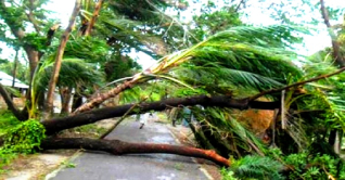 ঘূর্ণিঝড়ে নড়াইলে নারীর মৃত্যু