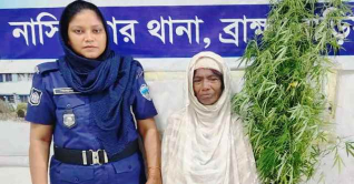 বিক্রির জন্য বাড়িতেই গাঁজা চাষ, গাছসহ নারী আটক