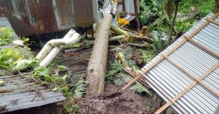 মুন্সীগঞ্জে গাছ ভেঙে চাপা পড়ে মা-মেয়ে নিহত