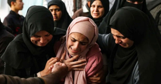 গাজায় শরণার্থী শিবিরে ইসরায়েলি হামলা, শিশুসহ নিহত ১৪