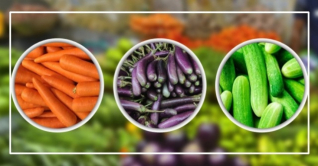 তিনগুণ বেড়েছে গাজরের দাম, কমেছে বেগুন-শসার তিনগুণ বেড়েছে গাজরের দাম, কমেছে বেগুন-শসার