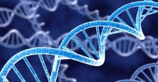 করোনায় মৃত্যুর জন্য দায়ী জিন চিহ্নিত