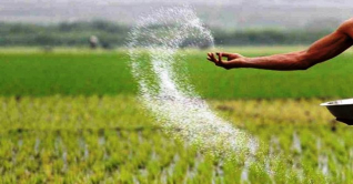 সারের দাম বাড়ল সারের দাম বাড়ল