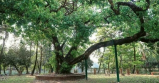 উৎসবহীন পহেলা বৈশাখ, বাংলা ১৪২৮ সালের প্রথম দিন উৎসবহীন পহেলা বৈশাখ, বাংলা ১৪২৮ সালের প্রথম দিন