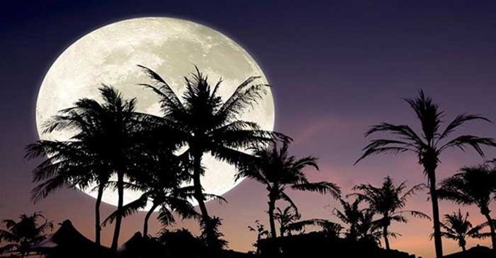 ছবি: ইন্টারনেট