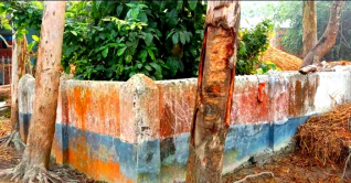 স্বাধীনতার ৫১ বছরেও অবহেলিত ২৭ শহীদের গণকবর