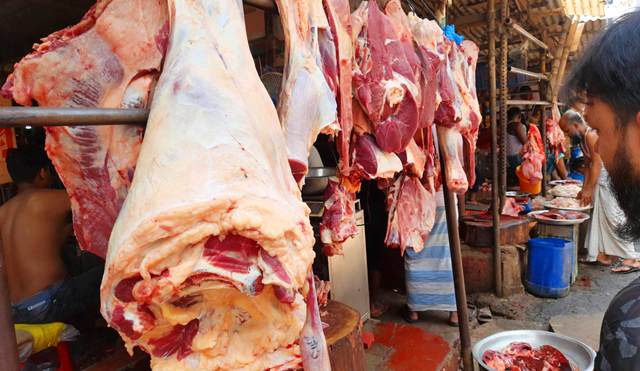 সংগৃহীত ছবি