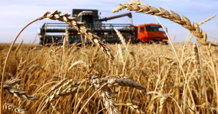 বিশ্বব্যাপী খাদ্যশস্য রপ্তানি বন্ধ করছে রাশিয়া