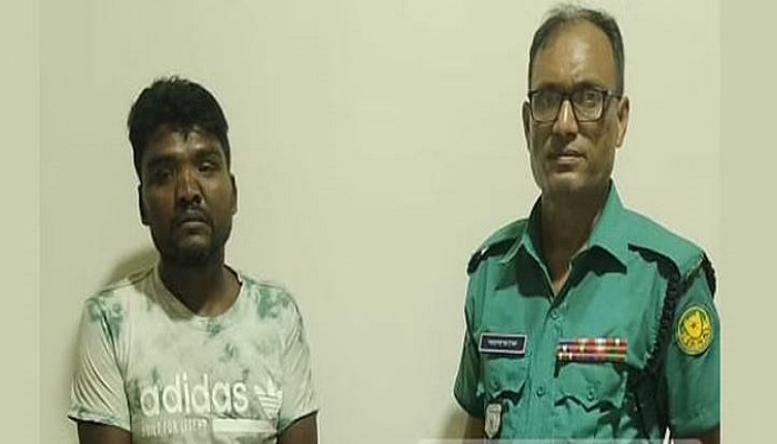 ফাইল ছবি