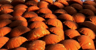 সিরাজগঞ্জে শীত মৌসুমে খেঁজুর রসের সুস্বাদু গুড় তৈরি