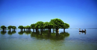 হাওরে হবে উড়াল সড়ক হাওরে হবে উড়াল সড়ক