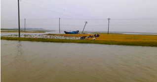 হাওরে ফের বিপৎসীমার ওপরে পানি হাওরে ফের বিপৎসীমার ওপরে পানি