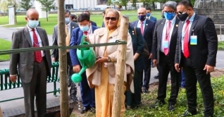 জাতিসংঘ সদরদপ্তরে বঙ্গবন্ধুর নামে প্রধানমন্ত্রীর বৃক্ষরোপণ-বেঞ্চ