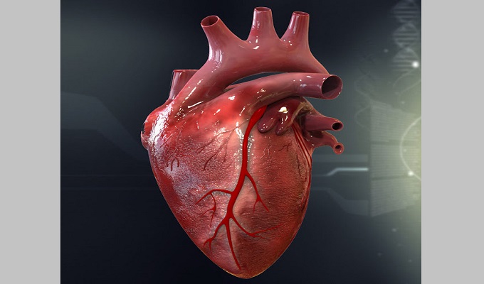 প্রতীকী ছবি