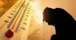 দেশের ইতিহাসে হিটস্ট্রোকে একদিনে ১৭ মৃত্যুর রেকর্ড