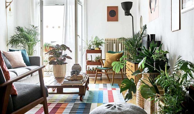 প্রতীকী ছবি