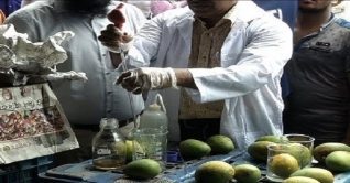 আমে ফরমালিন পরীক্ষা: বিএসটিআই’র রিপোর্টে হাইকোর্টের অসন্তোষ