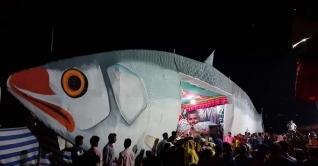 বরগুনায় ইলিশ উৎসব: ৮ হাজার মণ মাছ বিক্রি বরগুনায় ইলিশ উৎসব: ৮ হাজার মণ মাছ বিক্রি