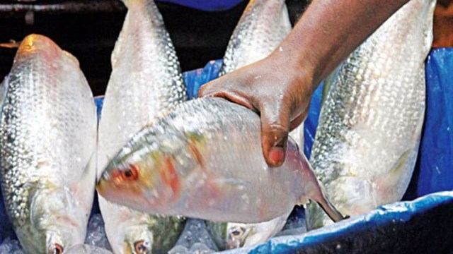 ফাইল ছবি
