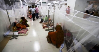 ডেঙ্গুতে আরও ২২৯ জন রোগী হাসপাতালে