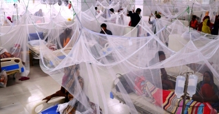 চলতি বছরে ডেঙ্গুতে মৃত্যু ১০০