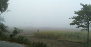 শীতে কাঁপছে উত্তরবঙ্গ, তাপমাত্রা ১১ ডিগ্রি