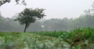 শীত নিয়ে যা জানালো আবহাওয়া অফিস শীত নিয়ে যা জানালো আবহাওয়া অফিস