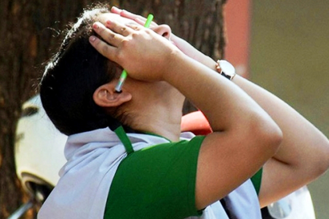 ফাইল ছবি