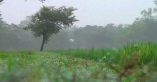 সারাদেশে রাত ও দিনের তাপমাত্রা সামান্য বাড়তে সারাদেশে রাত ও দিনের তাপমাত্রা সামান্য বাড়তে